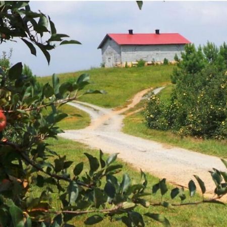 Close To Lake Blue Ridge, Hot Tub, Swing Beds Morganton Zewnętrze zdjęcie